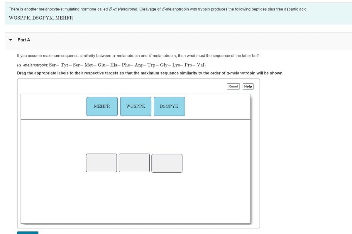 There is another melanocyte-stimulating hormone called ß-melanotropin. Cleavage of B-melanotropin with trypsin produces the following peptides plus free aspartic acid.
WGSPPK, DSGPYK, MEHFR
Part A
If you assume maximum sequence similarity between a-melanotropin and B-melanotropin, then what must the sequence of the latter be?
(a -melanotropin: Ser- Tyr- Ser- Met- Glu- His- Phe- Arg- Trp- Gly- Lys- Pro- Val)
Drag the appropriate labels to their respective targets so that the maximum sequence similarity to the order of a-melanotropin will be shown.
MEHFR
WGSPPK
DSGPYK
Reset
Help