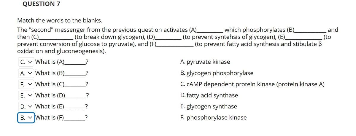 QUESTION 7
Match the words to the blanks.
The "second" messenger from the previous question activates (A)_
(to break down glycogen), (D)_
then (C)_
prevent conversion of glucose to pyruvate), and (F)_
oxidation and gluconeogenesis).
which phosphorylates (B)_
(to prevent syntehsis of glycogen), (E)_
(to prevent fatty acid synthesis and stibulate ẞ
and
(to
C. What is (A)_
A. What is (B)_
F. What is (C)_
E. What is (D)_
D. What is (E).
?
B. What is (F)_
A. pyruvate kinase
B. glycogen phosphorylase
C. CAMP dependent protein kinase (protein kinase A)
D. fatty acid synthase
E. glycogen synthase
F. phosphorylase kinase