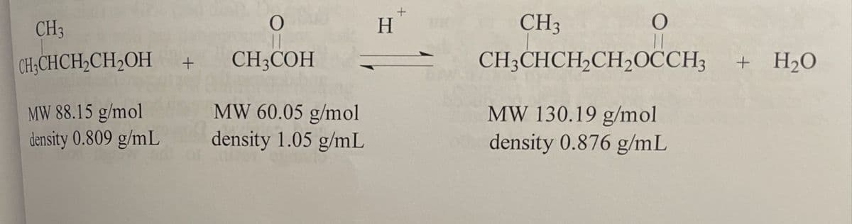 CH3
H
CH3
CH;CHCH,CH2OH
CH;COH
CH;CHCH,CH,OCCH3
+ H2O
MW 88.15 g/mol
density 0.809 g/mL
MW 60.05 g/mol
density 1.05 g/mL
MW 130.19 g/mol
density 0.876 g/mL
