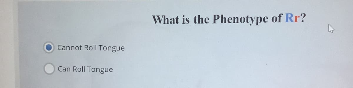 What is the Phenotype of Rr?
Cannot Roll Tongue
Can Roll Tongue
