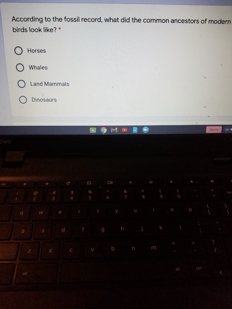According to the fossil record, what did the common ancestors of modern
birds look like? *
Horses
Whales
Land Mammals
Dinosaurs
Sign out
US
DII
esc
->
@
%23
$
&
bac
4
5
6
7
8
9
2
W
e
r
y
d f
g h
V
b n
m
alt
ctri
alt
