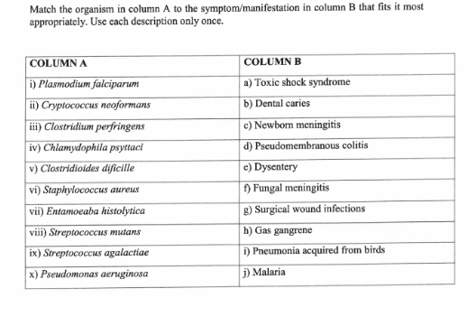 Match the organism in column A to the symptom/manifestation in column B that fits it most
appropriately. Use cach description only once.
COLUMN A
i) Plasmodium falciparum
COLUMN B
a) Toxic shock syndrome
i) Crуpiococсus neоformans
ii) Clostridium perfringens
iv) Chlamydophila psyttaci
v) Clastridioides dificille
b) Dental caries
c) Newborn meningitis
d) Pscudomembranous colitis
e) Dysentery
vi) Staphylococcus aureus
f) Fungal meningitis
vii) Entamoeaba histolytica
g) Surgical wound infections
viii) Streptococcus mutans
h) Gas gangrene
ix) Streptococcus agalactiae
i) Pneumonia acquired from birds
x) Pseudomonas aeruginosa
j) Malaria
