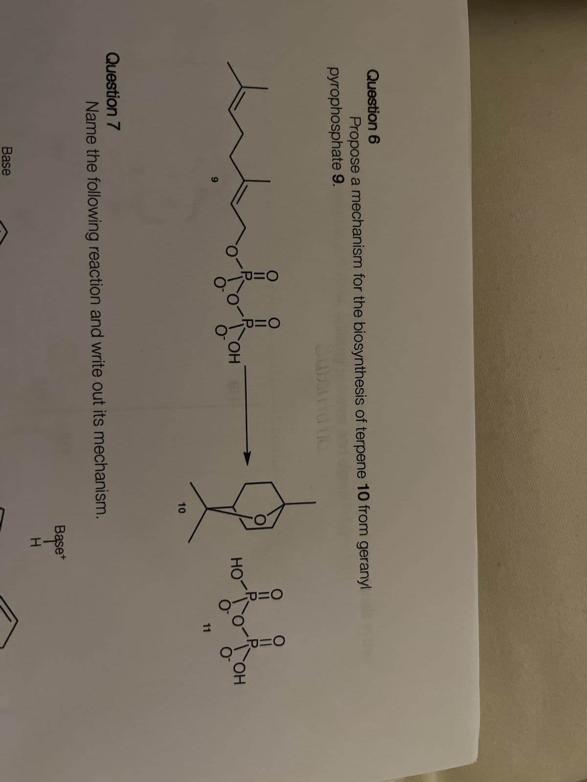 Question 6
Propose a mechanism for the biosynthesis of terpene 10 from geranyls the
s and
pyrophosphate 9.
гон
HO
merhohe Gehehe
9
Question 7
ان الطالبات
Base
OH
10
Name the following reaction and write out its mechanism.
Base+
H
11