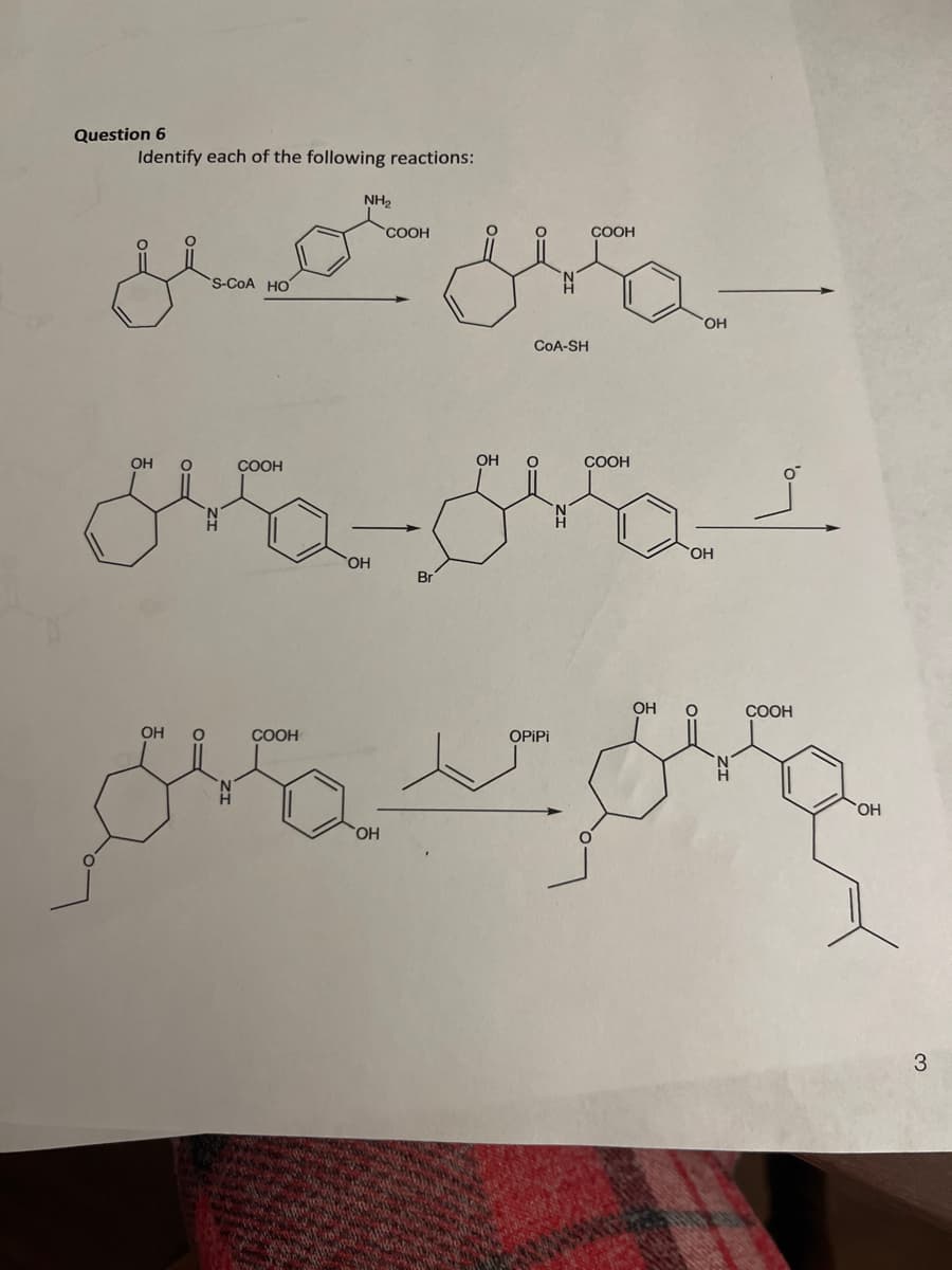 Question 6
Identify each of the following reactions:
حمیل مجھے ملی
ОН
0
ОН
S-CoA HO
COOH
مل کر
COOH
ОН
OH
COOH
Br
CoA-SH
OH O
OPiPi
COOH
COOH
OH
ОН
OH 0
ز
COOH
OH
3