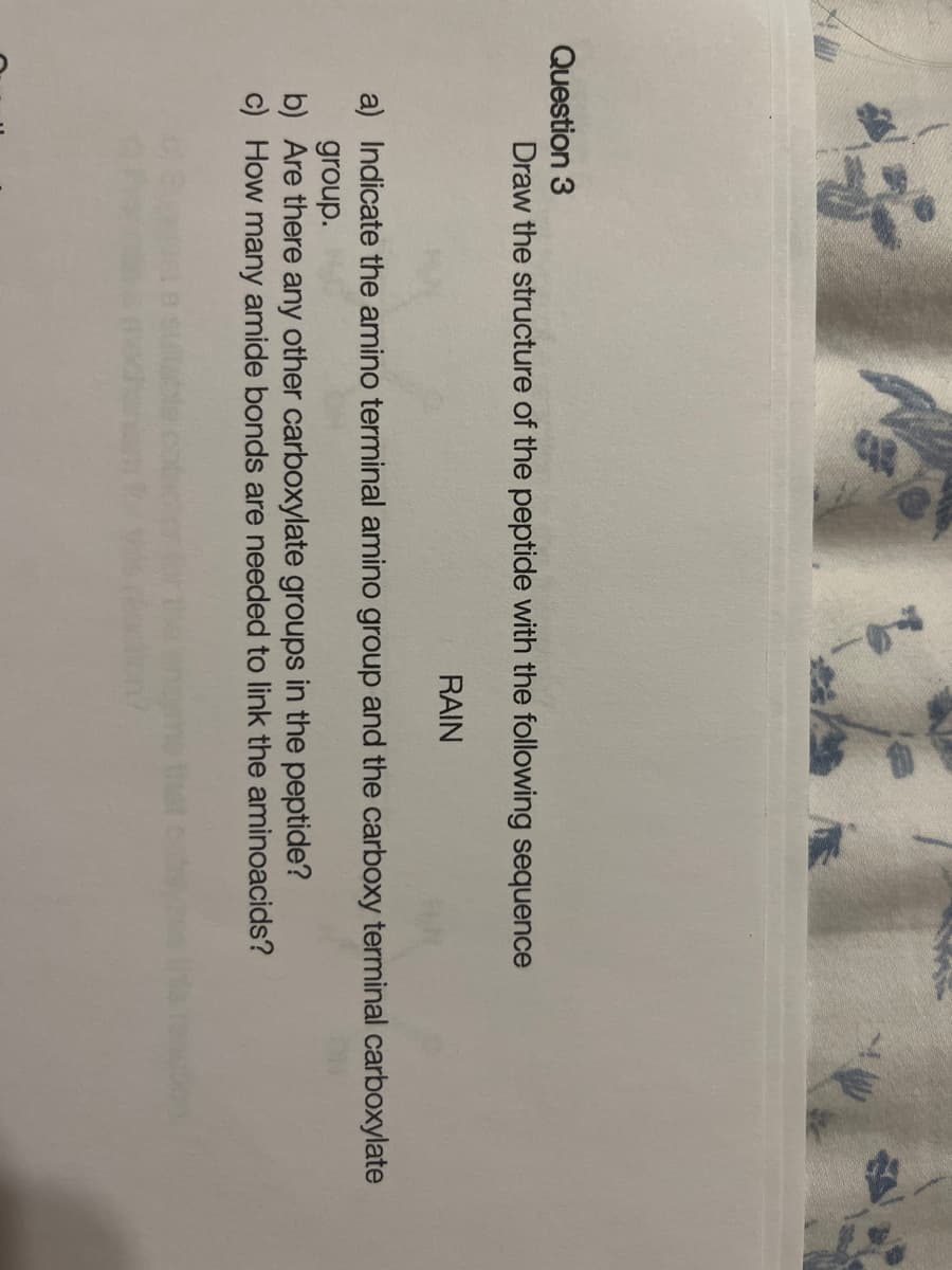 Question 3
Draw the structure of the peptide with the following sequence
RAIN
a) Indicate the amino terminal amino group and the carboxy terminal carboxylate
group.
b) Are there any other carboxylate groups in the peptide?
c) How many amide bonds are needed to link the aminoacids?