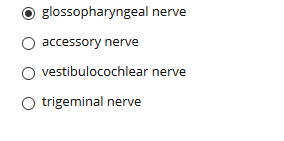 glossopharyngeal nerve
accessory nerve
vestibulocochlear nerve
O trigeminal nerve
