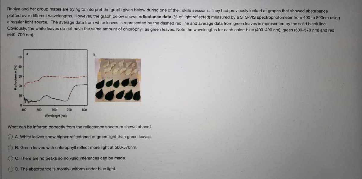Rabiya and her group mates are trying to interpret the graph given below during one of their skills sessions. They had previously looked at graphs that showed absorbance
plotted over different wavelengths. However, the graph below shows reflectance data (% of light reflected) measured by a STS-VIS spectrophotometer from 400 to 800nm using
a regular light source. The average data from white leaves is represented by the dashed red line and average data from green leaves is represented by the solid black line.
Obviously, the white leaves do not have the same amount of chlorophyll as green leaves. Note the wavelengths for each color: blue (400-490 nm), green (500-570 nm) and red
(640-700 nm).
50
40
10
400
500
600
700
800
Wavelenght (nm)
What can be inferred correctly from the reflectance spectrum shown above?
O A. White leaves show higher reflectance of green light than green leaves.
O B. Green leaves with chlorophyll reflect more light at 500-570nm.
O C. There are no peaks so no valid inferences can be made.
O D. The absorbance is mostly uniform under blue light.
(%) aouejpayo
