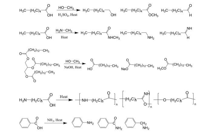 H3C (H₂C)47
H3C (H₂C)4
0 0
(CH₂) 12-CH3
-O
OH
OH
H₂N (H₂C)
(CH₂)12 CH3
OH
(CH₂)12-CH3
HO-CH3
H₂SO4, Heat
OH
H₂N-CH3
Heat
Heat
NH₂, Heat
HỌ CHI
NaOH, Heat.
H3C-(H₂C)4
H3C (H₂C)47
HO
_HN].
NH (H2C)5
-NH₂
OH
NHCH3
(CH₂)12-CH3
H3C (H₂C)47
H₂C-(H₂C)4
NaO
OCH3
NH₂
NH₂
(CH₂)12-CH3
H3C (H₂C)4
-CH₂
NH₂
H3C (H₂C)4
H₂CO
4 24. fomen to mer
2C)s-
H
NH
H
(CH₂)12-CH3