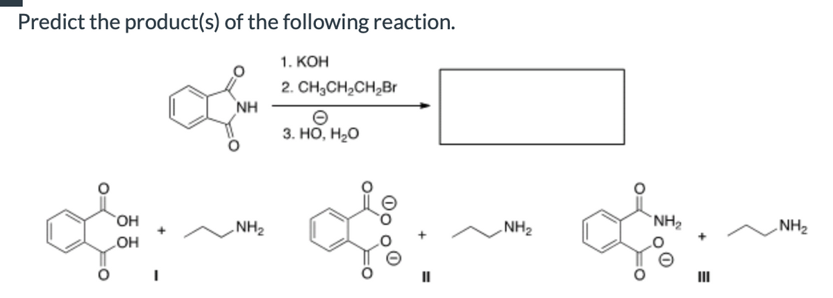 Predict the product(s) of the following reaction.
NH
1. KOH
2. CH3CH2CH2Br
Ө
3. HO, H₂O
OH
+
NH2
OH
|
။
NH2
NH2
III
NH2