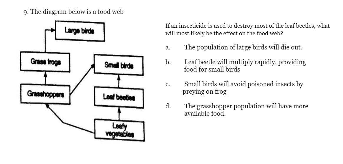 9. The diagram below is a food web
If an insecticide is used to destroy most of the leaf beetles, what
Large birde
will most likely be the effect on the food web?
The population of large birds will die out.
а.
Grass froge
Leaf beetle will multiply rapidly, providing
food for small birds
b.
Small birde
Small birds will avoid poisoned insects by
preying on frog
с.
Graashoppers
Leaf beetes
d.
The grasshopper population will have more
available food.
Loaty
vegetables
