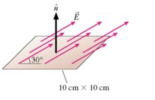 130⁰
10 cm x 10 cm