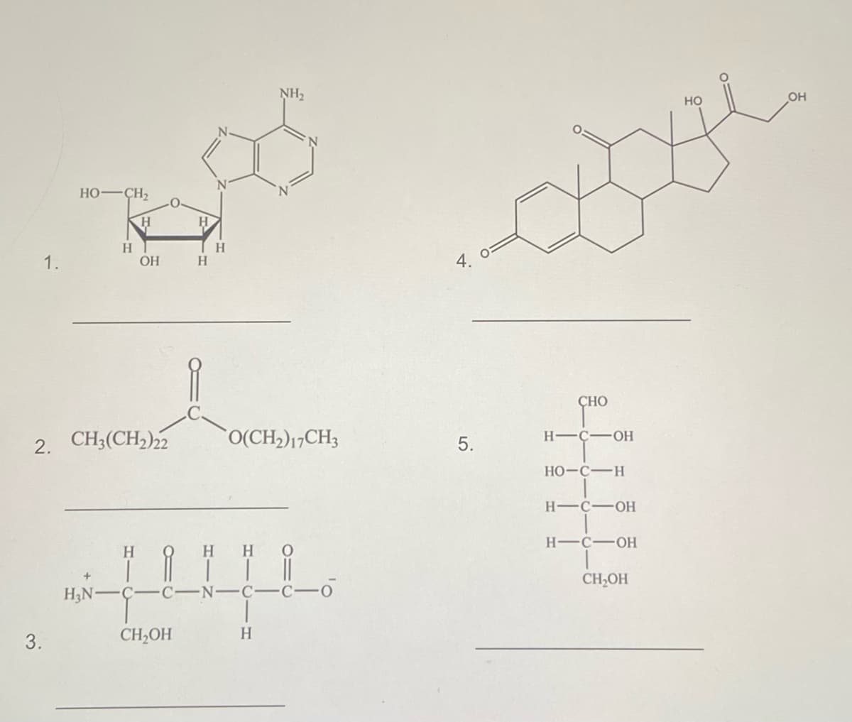 HO-CH₂
H
1.
OH
2. CH3(CH2)22
H₂N
3.
H
O
H
H
CH₂OH
H
NH₂
O(CH₂) 17CH3
H O
C-N-C C
H
-0
4.
5.
сно
HIC OH
HO-C—H
H-C-OH
HIC OH
CH₂OH
HO
OH