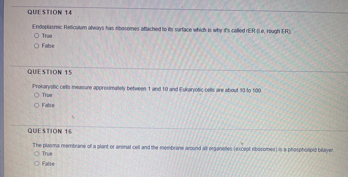 QUESTION 14
Endoplasmic Reticulum always has ribosomes attached to its surface which is why it's called rER (i.e, rough ER).
O True
O False
QUESTION 15
Prokaryotic cells measure approximately between 1 and 10 and Eukaryotic cells are about 10 to 100.
O True
O False
QUESTION 16
The plasma membrane of a plant or animal cell and the membrane around all organelles (except ribosomes) is a phospholipid bilayer.
O True
O False
