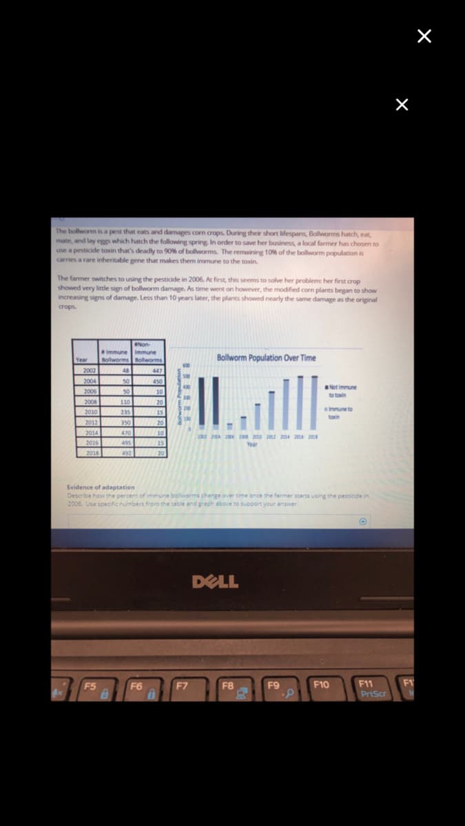 **Impact of Pesticide Usage on Bollworm Population**

The bollworm is a pest that eats and damages corn crops. During their short lifespans, bollworms hatch, eat, mate, and lay eggs that hatch the following spring. In order to save her business, a local farmer has chosen to use a pesticide toxin that’s deadly to 90% of bollworms. The remaining 10% of the bollworm population carries a rare inheritable gene that makes them immune to the toxin.

The farmer switches to using the pesticide in 2006. At first, this seems to solve her problem: her first crop showed very little sign of bollworm damage. As time went on however, the modified corn plants began to show increasing signs of damage. Less than 10 years later, the plants showed nearly the same damage as the original crops.

### Table and Graph Analysis
#### Bollworm Population Over Time

The table below lists the number of immune and non-immune bollworms over the years:

| Year | # Immune Bollworms | # Non-immune Bollworms |
|------|--------------------|------------------------|
| 2004 | 50                 | 450                    |
| 2005 | 48                 | 447                    |
| 2006 | 47                 | 450                    |
| 2007 | 60                 | 410                    |
| 2008 | 110                | 350                    |
| 2009 | 150                | 300                    |
| 2010 | 220                | 280                    |
| 2011 | 325                | 325                    |
| 2012 | 415                | 315                    |
| 2013 | 345                | 300                    |
| 2014 | 396                | 296                    |
| 2015 | 403                | 295                    |
| 2016 | 459                | 350                    |
| 2018 | 478                | 340                    |

#### Bollworm Population Over Time Graph
The graph provides a visual representation of how the bollworm population has evolved over time, specifically indicating the number of bollworms that are immune and not immune to the toxin from 2004 to 2018. 

- The y-axis lists the number of bollworms.
- The x-axis lists the years from 2004 to 2018.
- Dark bars represent immune bollworms.
- Light bars represent