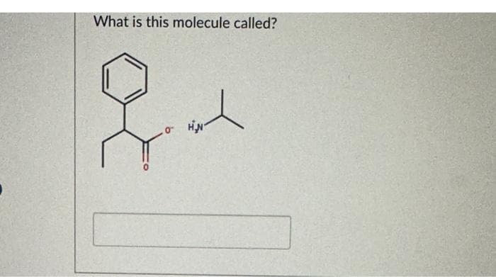 What is this molecule called?
8~
ㅅ
H₂N