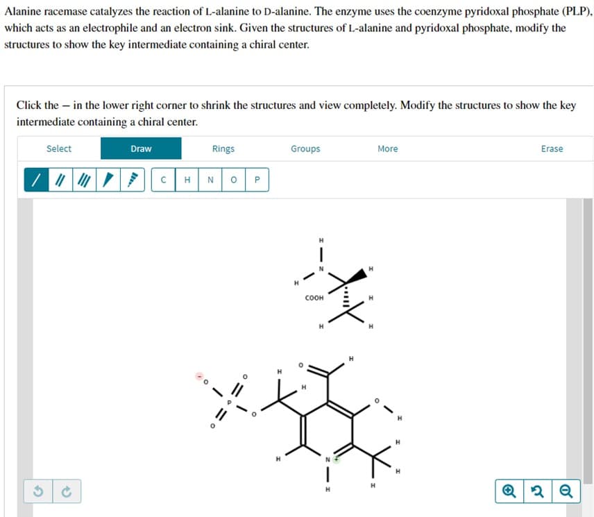 Alanine racemase catalyzes the reaction of L-alanine to D-alanine. The enzyme uses the coenzyme pyridoxal phosphate (PLP),
which acts as an electrophile and an electron sink. Given the structures of L-alanine and pyridoxal phosphate, modify the
structures to show the key intermediate containing a chiral center.
Click the - in the lower right corner to shrink the structures and view completely. Modify the structures to show the key
intermediate containing a chiral center.
Select
/ "
G
Draw
Rings
с H N о P
°
°
°
Groups
More
H
COOH
H
HIN
H
Н
H
H
Erase
Q2Q