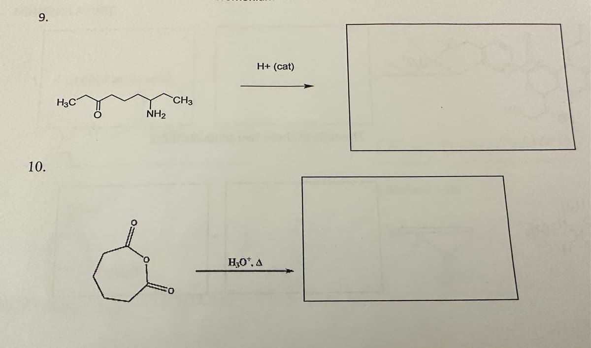 9.
10.
H3C
NH₂
á
CH3
CO
H+ (cat)
H₂O*, A