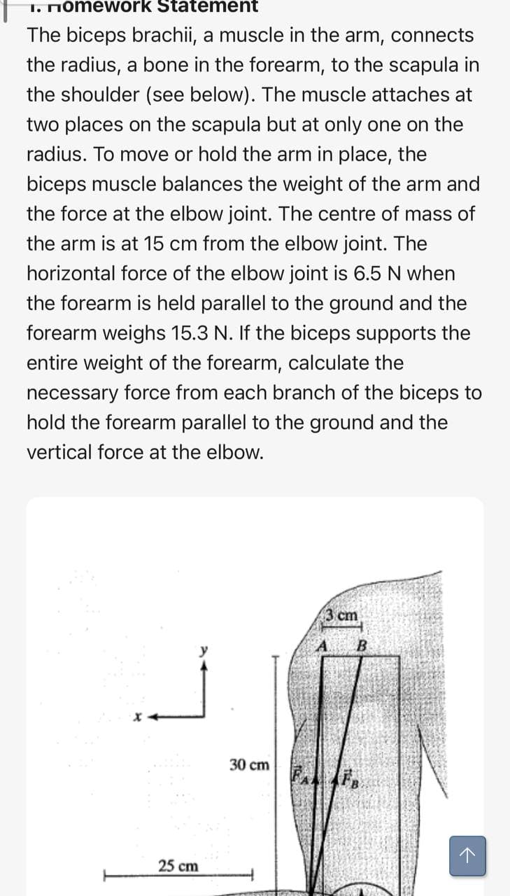 1. Momework Statement
The biceps brachii, a muscle in the arm, connects
the radius, a bone in the forearm, to the scapula in
the shoulder (see below). The muscle attaches at
two places on the scapula but at only one on the
radius. To move or hold the arm in place, the
biceps muscle balances the weight of the arm and
the force at the elbow joint. The centre of mass of
the arm is at 15 cm from the elbow joint. The
horizontal force of the elbow joint is 6.5 N when
the forearm is held parallel to the ground and the
forearm weighs 15.3 N. If the biceps supports the
entire weight of the forearm, calculate the
necessary force from each branch of the biceps to
hold the forearm parallel to the ground and the
vertical force at the elbow.
3 cm
30 cm
25 cm

