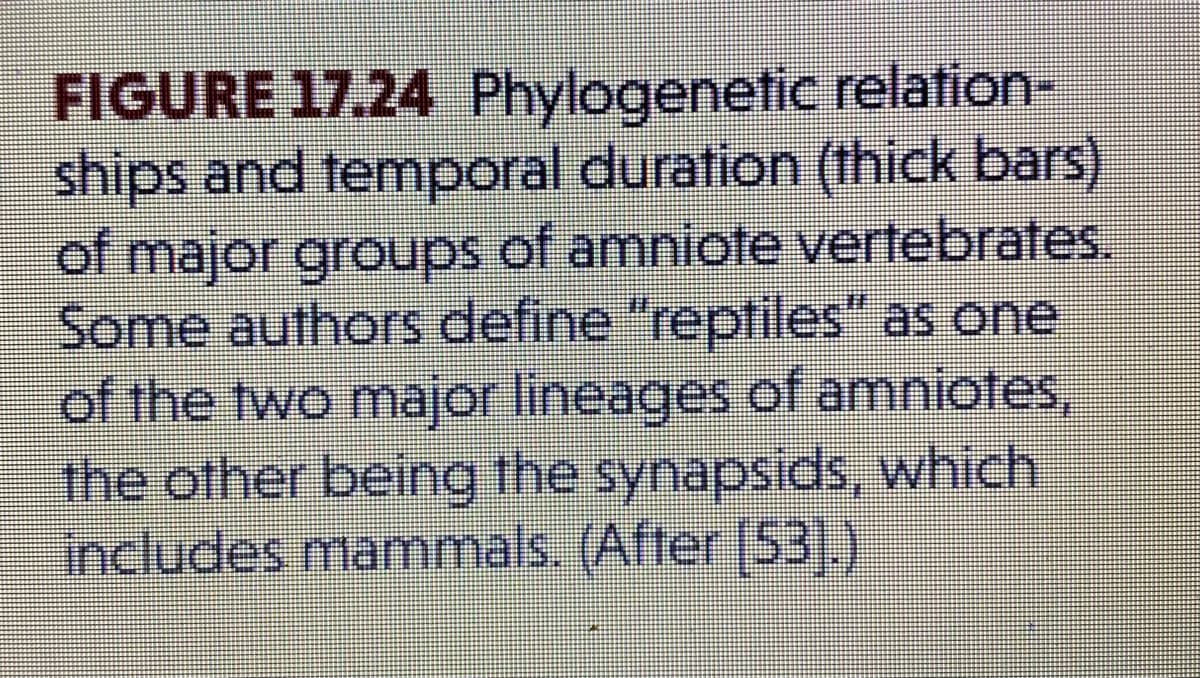 FIGURE 17.24 Phylogenetic relation-
ships and temporal duration (thick bars)
of major groups of amniote vertebrates.
Some authors define "reptiles" as one
of the two major lineages of amniotes,
the other being the synapsids, which
includes mammals. (After (53].)
