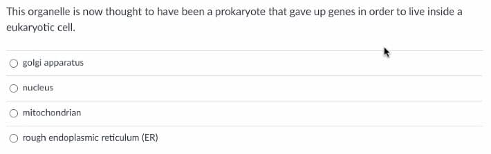 This organelle is now thought to have been a prokaryote that gave up genes in order to live inside a
eukaryotic cell.
O golgi apparatus
O nucleus
mitochondrian
rough endoplasmic reticulum (ER)
