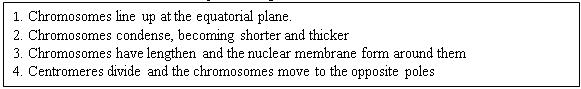 1. Chromosomes line up at the equatorial plane.
2. Chromosomes condense, becoming shorter and thicker
3. Chromosomes have lengthen and the nuclear membrane form around them
4. Centromeres divide and the chromosomes move to the opposite poles
