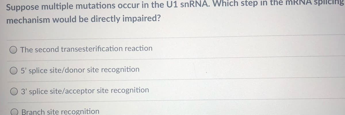 Suppose multiple mutations occur in the U1 snRNA. Which step in the mRNA Spllcing
mechanism would be directly impaired?
The second transesterification reaction
5' splice site/donor site recognition
3' splice site/acceptor site recognition
O Branch site recognition
