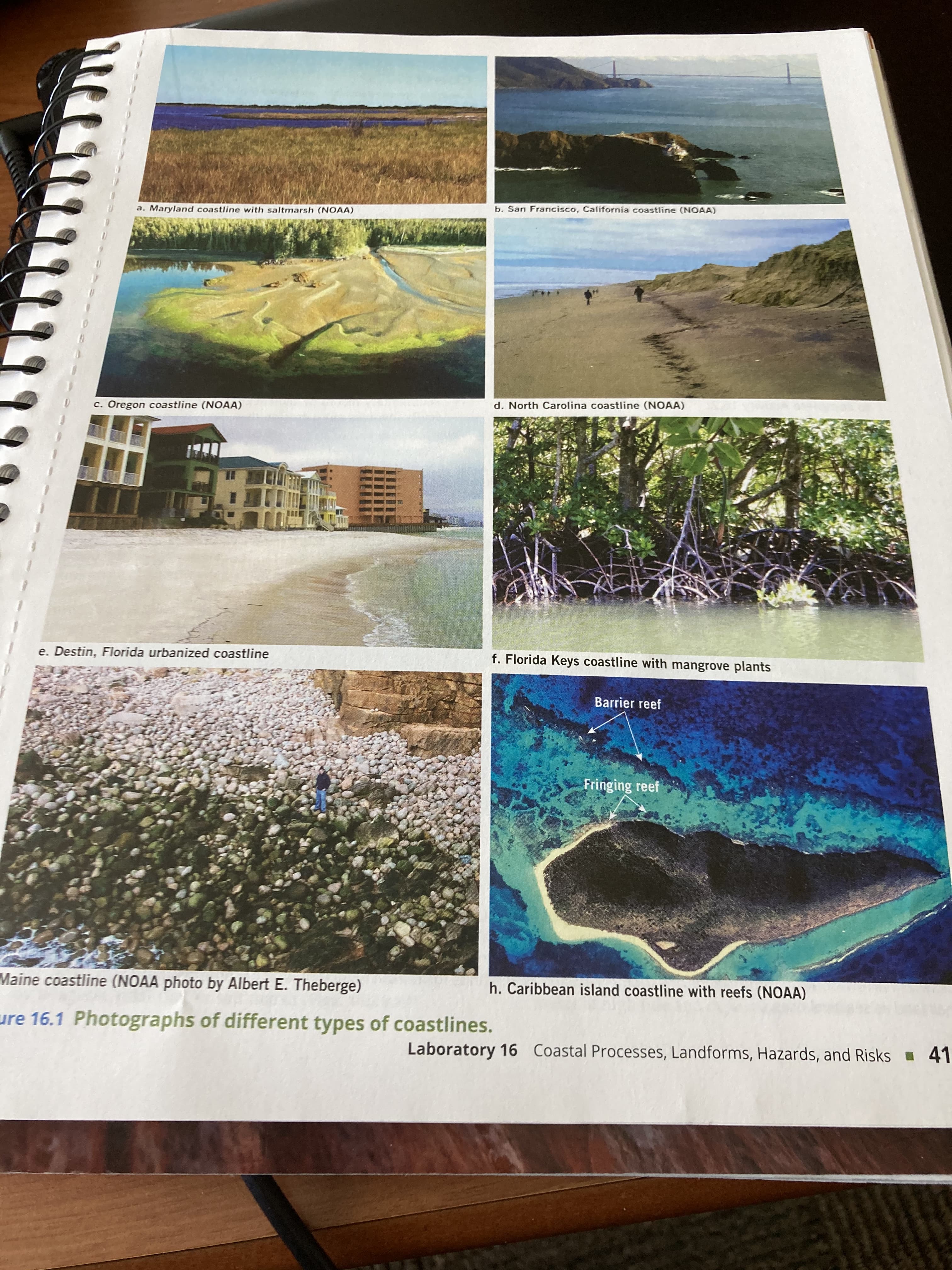 b. San Francisco, California coastline (NOAA)
a. Maryland coastline with saltmarsh (NOAA)
d. North Carolina coastline (NOAA)
c. Oregon coastline (NOAA)
e. Destin, Florida urbanized coastline
f. Florida Keys coastline with mangrove plants
Barrier reef
Fringing reef
Maine coastline (NOAA photo by Albert E. Theberge)
h. Caribbean island coastline with reefs (NOAA)
ure 16.1 Photographs of different types of coastlines.
Laboratory 16 Coastal Processes, Landforms, Hazards, and Risks 41
