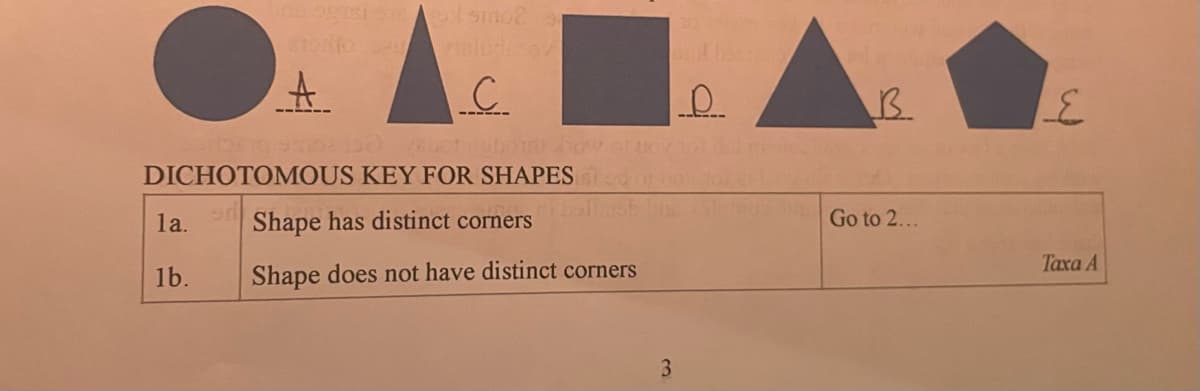 la.
1b.
ng agasisismo
$100 a
on
+
DICHOTOMOUS KEY FOR SHAPES
Shape has distinct corners
Shape does not have distinct corners
----
C
3
р
B
Go to 2...
E
Taxa A