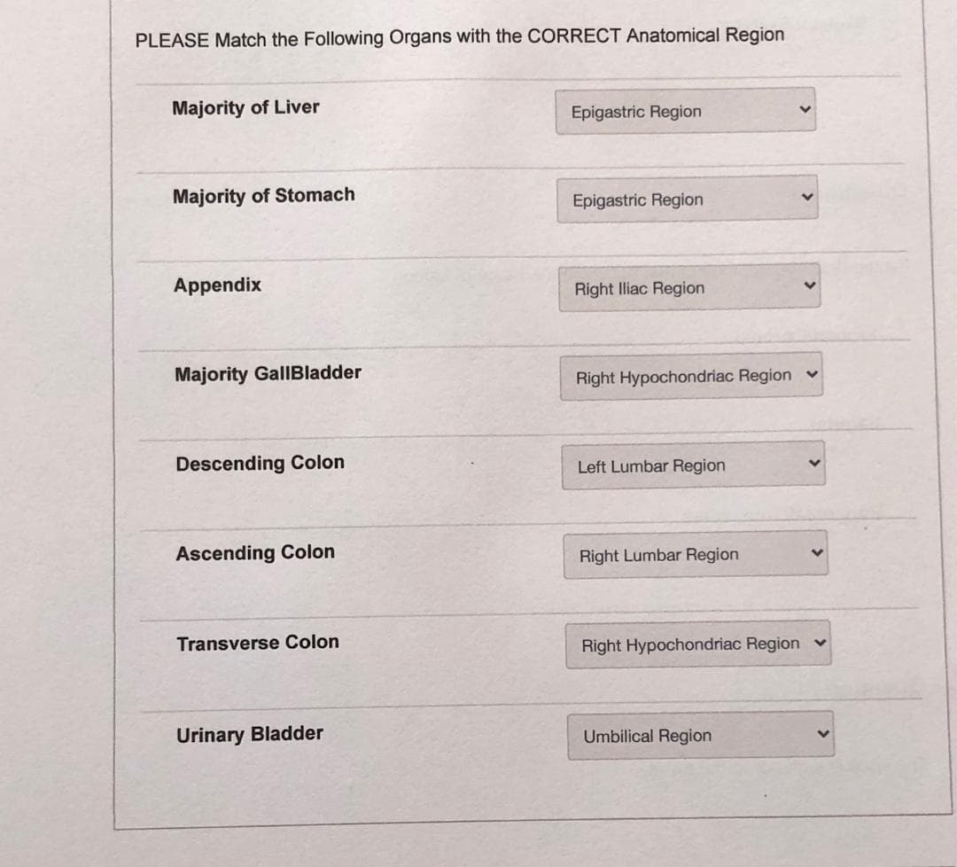 PLEASE Match the Following Organs with the CORRECT Anatomical Region
Majority of Liver
Epigastric Region
Majority of Stomach
Epigastric Region
Appendix
Right Illiac Region
Majority GallBladder
Right Hypochondriac Region v
Descending Colon
Left Lumbar Region
Ascending Colon
Right Lumbar Region
Transverse Colon
Right Hypochondriac Region
Urinary Bladder
Umbilical Region
