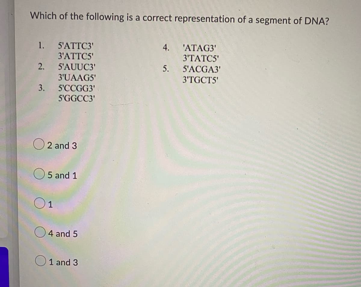 Which of the following is a correct representation of a segment of DNA?
1.
5'ATTC3'
3'ATTC5'
2. 5'AUUC3'
4. 'ATAG3'
3'ТАТCS
5'ACGA3'
3'TGCT5'
5.
3'UAAG5'
3.
5'CCGG3'
5'GGCC3'
O2 and 3
O 5 and 1
O1
O4 and 5
O1 and 3
