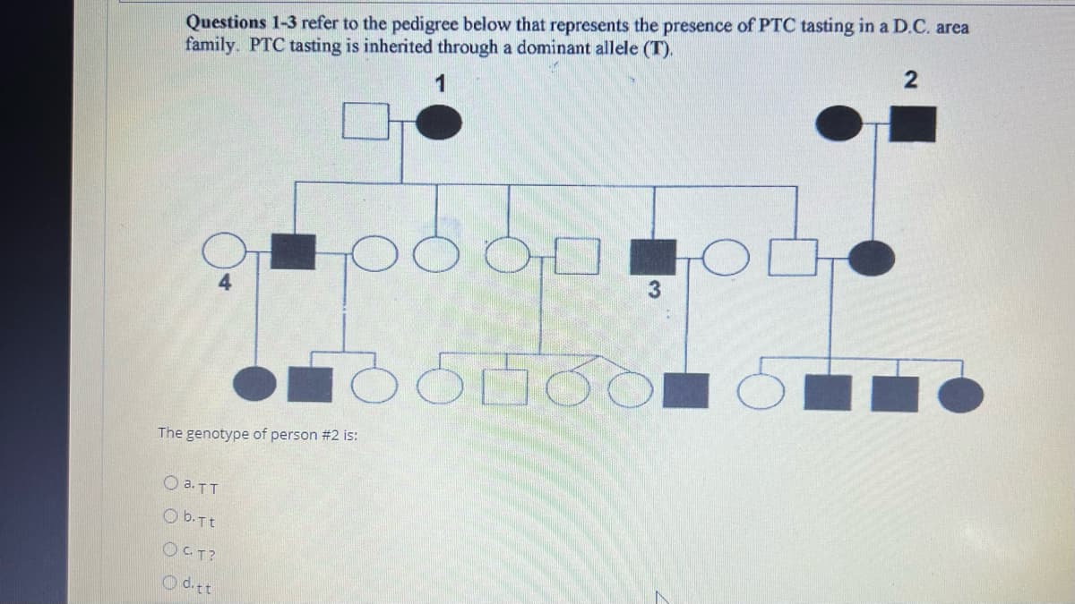 Questions 1-3 refer to the pedigree below that represents the presence of PTC tasting in a D.C. area
family. PTC tasting is inherited through a dominant allele (T).
4
The genotype of person #2 is:
O a.TT
O b.Tt
OCT?
O d.tt
