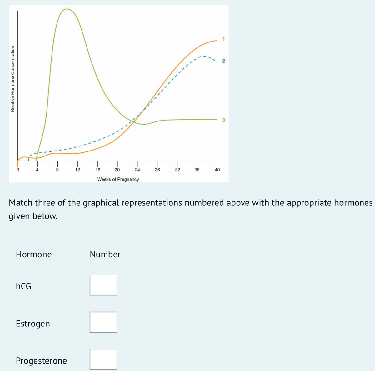 Relative Hormone Concentration
4
Hormone
hCG
8
Estrogen
12
Progesterone
16
20
Weeks of Pregnancy
24
Number
26
Match three of the graphical representations numbered above with the appropriate hormones
given below.
32
36
40
N