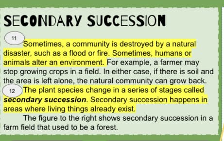 SECONDARY SUCCESSION
11
Sometimes, a community is destroyed by a natural
disaster, such as a flood or fire. Sometimes, humans or
animals alter an environment. For example, a farmer may
stop growing crops in a field. In either case, if there is soil and
the area is left alone, the natural community can grow back.
12 The plant species change in a series of stages called
secondary succession. Secondary succession happens in
areas where living things already exist.
The figure to the right shows secondary succession in a
|farm field that used to be a forest.
