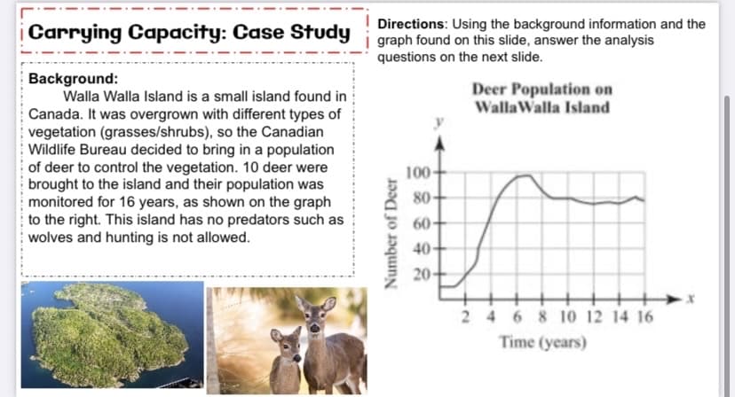 | Carrying Capacity: Case Study
Directions: Using the background information and the
graph found on this slide, answer the analysis
questions on the next slide.
Background:
Walla Walla Island is a small island found in
Canada. It was overgrown with different types of
vegetation (grasses/shrubs), so the Canadian
Wildlife Bureau decided to bring in a population
of deer to control the vegetation. 10 deer were
brought to the island and their population was
monitored for 16 years, as shown on the graph
to the right. This island has no predators such as
wolves and hunting is not allowed.
Deer Population on
WallaWalla Island
100-
80
60-
40
20-
2 4 6 8 10 12 14 16
Time (years)
Number of Deer
