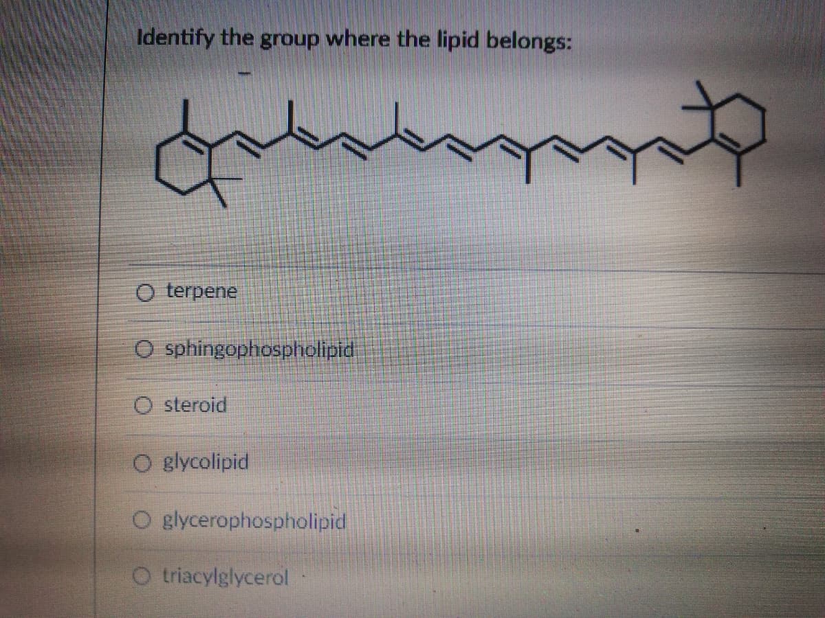 Identify the group where the lipid belongs:
O terpenel
O sphingophospholipid.
O steroid
O glycolipid
O glycerophospholipid
O triacylglycerol
