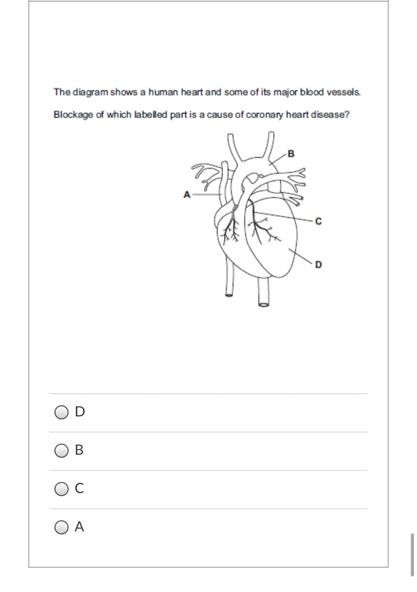 The diagram shows a human heart and some of its major blood vessels.
Blockage of which labelled part is a cause of coronary heart disease?
OC
O A
