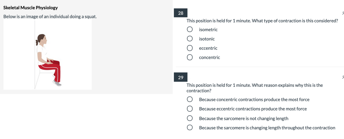 Skeletal Muscle Physiology
28
Below is an image of an individual doing a squat.
This position is held for 1 minute. What type of contraction is this considered?
isometric
isotonic
eccentric
concentric
29
This position is held for 1 minute. What reason explains why this is the
contraction?
Because concentric contractions produce the most force
Because eccentric contractions produce the most force
Because the sarcomere is not changing length
Because the sarcomere is changing length throughout the contraction
