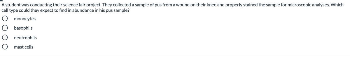 A student was conducting their science fair project. They collected a sample of pus from a wound on their knee and properly stained the sample for microscopic analyses. Which
cell type could they expect to find in abundance in his pus sample?
monocytes
basophils
neutrophils
O mast cells
