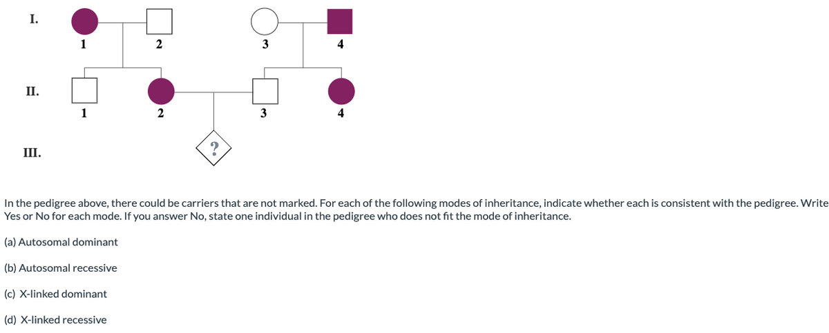 I.
3
4
II.
1
3
4
III.
In the pedigree above, there could be carriers that are not marked. For each of the following modes of inheritance, indicate whether each is consistent with the pedigree. Write
Yes or No for each mode. If you answer No, state one individual in the pedigree who does not fit the mode of inheritance.
(a) Autosomal dominant
(b) Autosomal recessive
(c) X-linked dominant
(d) X-linked recessive
