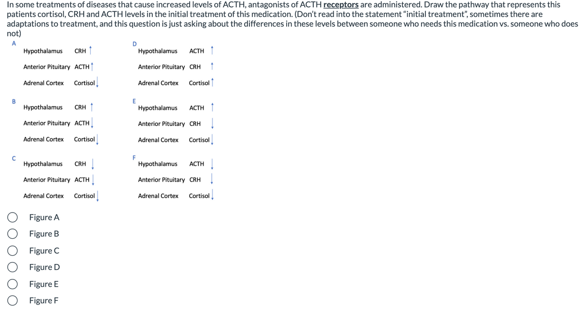 In some treatments of diseases that cause increased levels of ACTH, antagonists of ACTH receptors are administered. Draw the pathway that represents this
patients cortisol, CRH and ACTH levels in the initial treatment of this medication. (Don't read into the statement "initial treatment", sometimes there are
adaptations to treatment, and this question is just asking about the differences in these levels between someone who needs this medication vs. someone who does
not)
A
Hypothalamus
CRH 1
Hypothalamus
АСТH
Anterior Pituitary ACTH
Anterior Pituitary CRH
Adrenal Cortex
Cortisol
Adrenal Cortex
Cortisol ↑
E
В
Hypothalamus
CRH ↑
АСТH T
Hypothalamus
Anterior Pituitary ACTH
Anterior Pituitary CRH I
Adrenal Cortex
Cortisol
Adrenal Cortex
Cortisol
F
C
Hypothalamus
Hypothalamus
CRH
АСТH
Anterior Pituitary ACTH
Anterior Pituitary CRH
Adrenal Cortex
Cortisol
Adrenal Cortex
Cortisol
Figure A
Figure B
Figure C
Figure D
Figure E
Figure F
