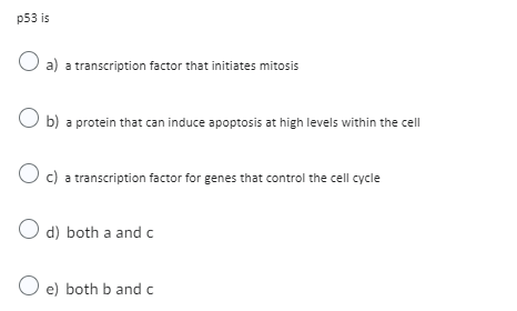 p53 is
O a) a transcription factor that initiates mitosis
Ob) a protein that can induce apoptosis at high levels within the cell
O c) a transcription factor for genes that control the cell cycle
O d) both a and c
O e) both b and c