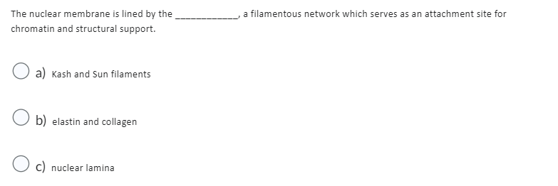 The nuclear membrane is lined by the
chromatin and structural support.
a) Kash and Sun filaments
b) elastin and collagen
c) nuclear lamina
a filamentous network which serves as an attachment site for