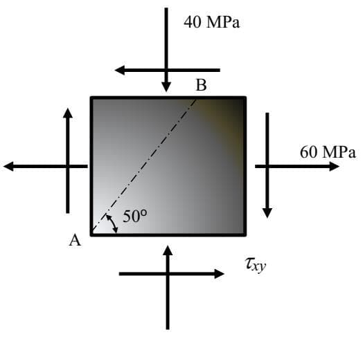 40 MPa
В
60 MPa
50°
A
Txy
