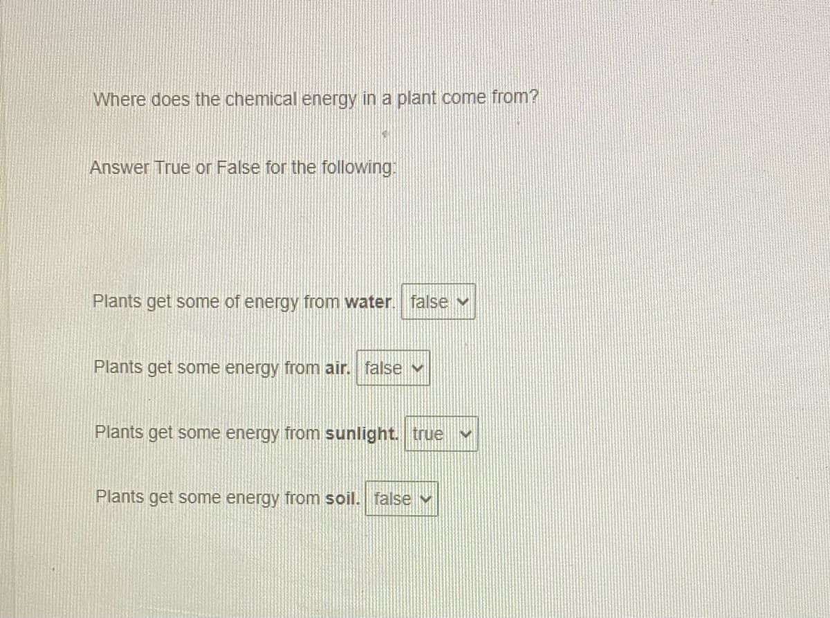 Where does the chemical energy in a plant come from?
Answer True or False for the following:
Plants get some of energy from water.
false v
Plants get some energy from air. false v
Plants get some energy from sunlight. true
Plants get some energy from soil. false v
