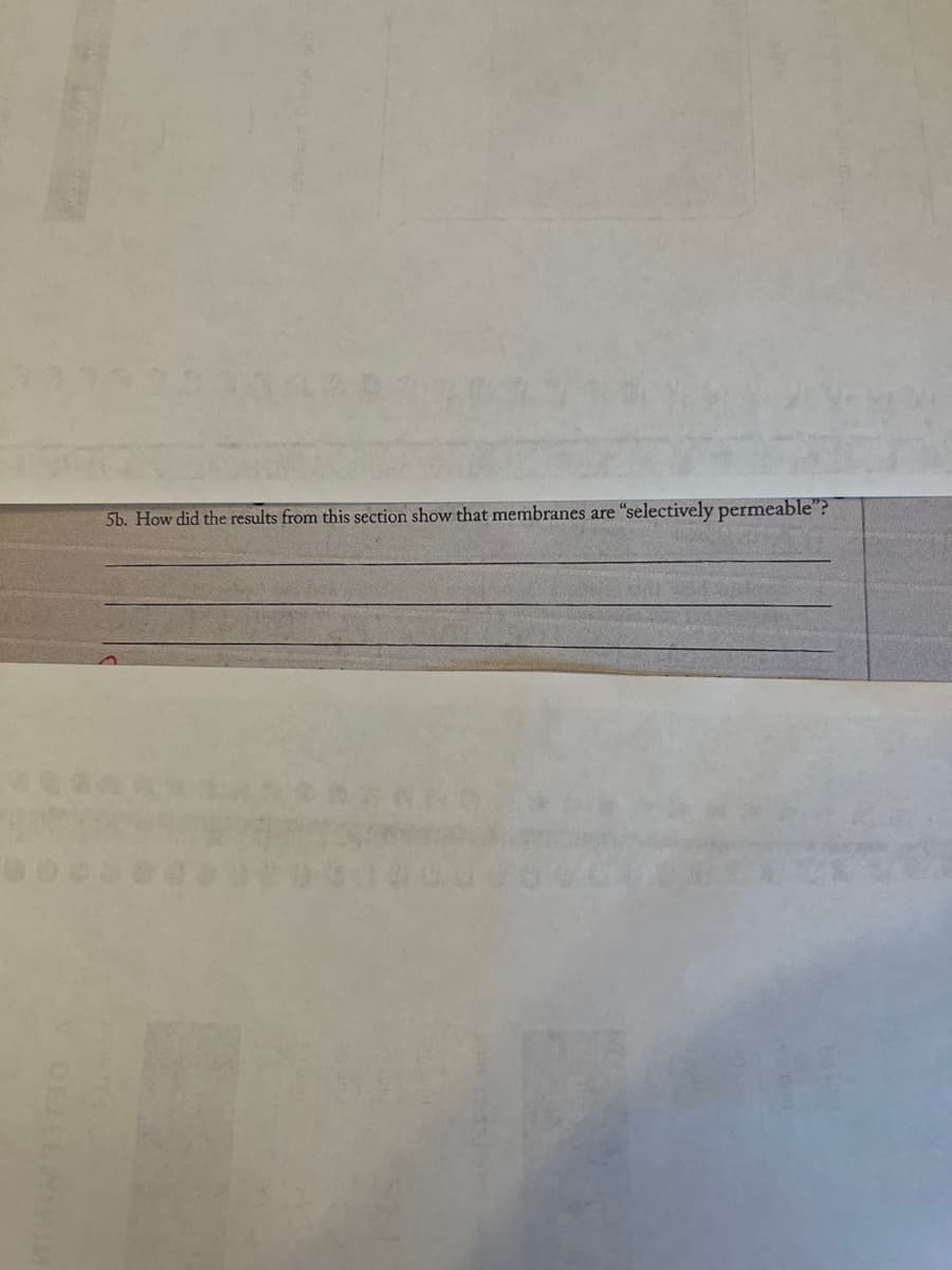 01
DELEENIMIM
5b. How did the results from this section show that membranes are "selectively permeable"?