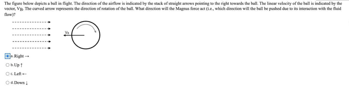The figure below depicts a ball in flight. The direction of the airflow is indicated by the stack of straight arrows pointing to the right towards the ball. The linear velocity of the ball is indicated by the
vector, VB. The curved arrow represents the direction of rotation of the ball. What direction will the Magnus force act (i.e., which direction will the ball be pushed due to its interaction with the fluid
flow)?
Ⓒa. Right →
O b. Up ↑
O c. Left -
O d. Down ↓
VB