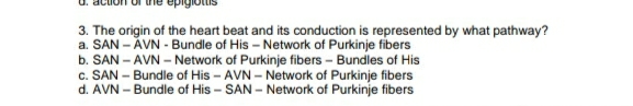 3. The origin of the heart beat and its conduction is represented by what pathway?
a. SAN - ĂVN - Bundle of His - Network of Purkinje fibers
b. SAN - AVN – Network of Purkinje fibers - Bundles of His
c. SAN - Bundle of His - AVN - Network of Purkinje fibers
d. AVN – Bundle of His – SAN - Network of Purkinje fibers
