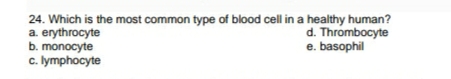 24. Which is the most common type of blood cell in a healthy human?
a. erythrocyte
b. monocyte
c. lymphocyte
d. Thrombocyte
e. basophil
