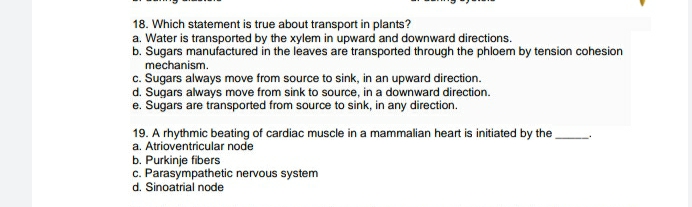 18. Which statement is true about transport in plants?
a. Water is transported by the xylem in upward and downward directions.
b. Sugars manufactured in the leaves are transported through the phloem by tension cohesion
mechanism.
c. Sugars always move from source to sink, in an upward direction.
d. Sugars always move from sink to source, in a downward direction.
e. Sugars are transported from source to sink, in any direction.
19. A rhythmic beating of cardiac muscle in a mammalian heart is initiated by the
a. Atrioventricular node
b. Purkinje fibers
c. Parasympathetic nervous system
d. Sinoatrial node
