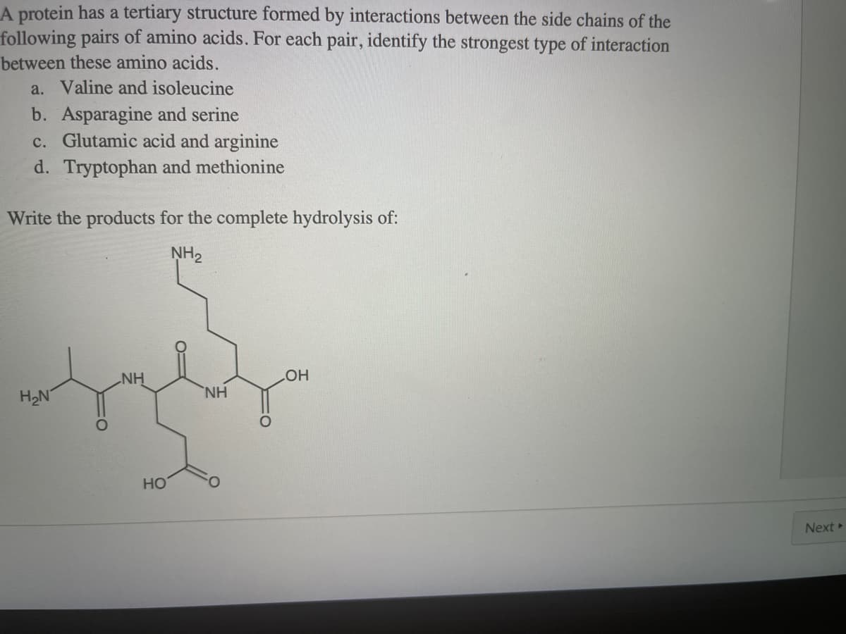 A protein has a tertiary structure formed by interactions between the side chains of the
following pairs of amino acids. For each pair, identify the strongest type of interaction
between these amino acids.
a. Valine and isoleucine
b. Asparagine and serine
c. Glutamic acid and arginine
d. Tryptophan and methionine
Write the products for the complete hydrolysis of:
NH2
NH
NH
HO
H2N
но
Next
